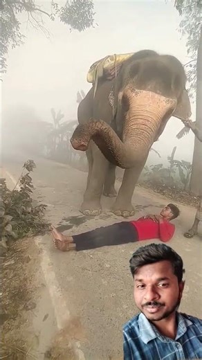 #Insan se# jyada samajhdar Janwar hote Hai#