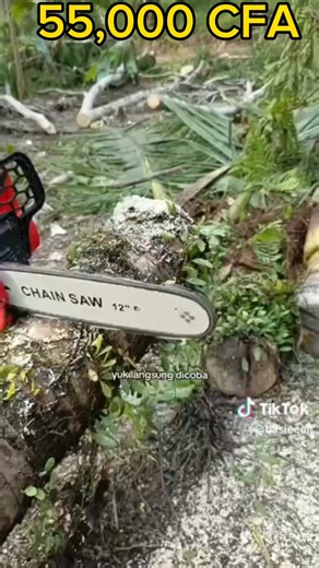 Tronçonneuse sans fil pour couper arbres et bois facilement et sans effort. Cliquez ici 👉https://shorturl.at/vG1Xl pour commander. Quantités limitées. Prix : 55 000 FCFA Paiement à la livraison | Godpulse media