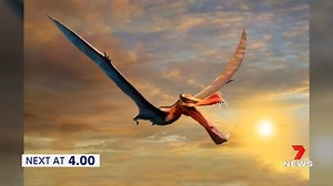 7NEWS Perth on Reels