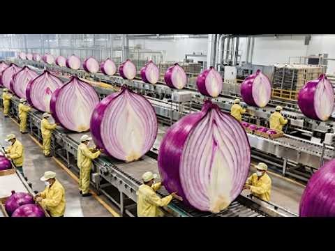 Inside the Largest US Factory: From Raw Onions to Premium Powder (Full Process) 🧅🏭