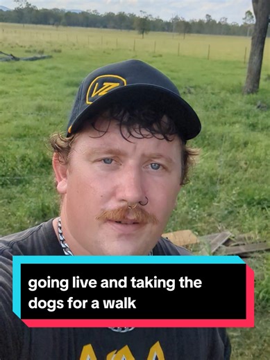 going live at 5:00 p.m. going to take the dogs for a walk and do some battles. hope to see you there #offgridlifestyle #countrylifestyle #couple #couplegoals #countrylife