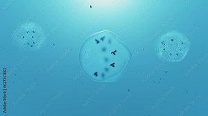 Cell lysis, 3d animation. Breaking down of the membrane of a cell