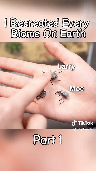 Exploring Earth's Unique Biomes and Animals