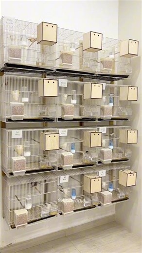 New nest box prepared for finches.Clean space supports healthy breeding.#FinchBreeding