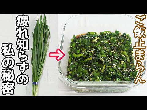 栄養満点「万能ニラだれ」調味料とニラを和えるだけで超簡単！ご飯がすすむ美味しさ‼作り置きに便利です・やみつきニラ・無限ニラ