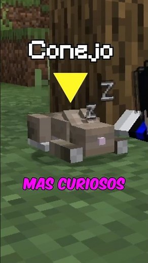 😴 Así se VERIAN los Mobs Durmiendo en Minecraft 💤 #shorts