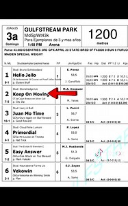 Información Gulfstream Park 20 de Abril #hipismo #livehighlights #LIVE #tiktoklive #DeportesJR #hipismointernacional #creatorsearchinsights #reels #greenscreen #gulfstream #gulfstreampark #santaanita