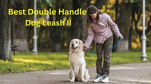 best double handle dog leash for your furry puppy