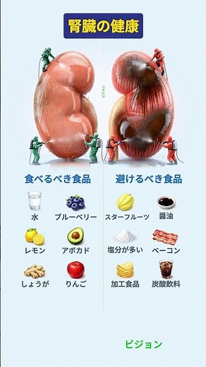 食べるべき食品 vs 避けるべき食品：腎臓の健康