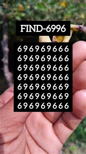 Find the Odd One | Visual Logic Challenge | Ep.2623 #brainteaser