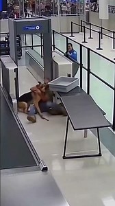 Military working dog rushes to reunite with former handler