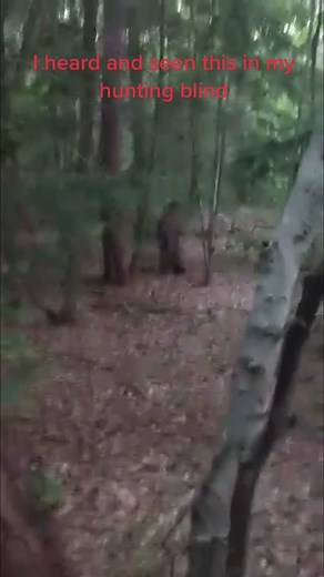 #Out hunting and seen this 🤨