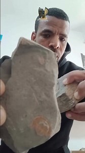 Ancient Ocean Creature Turned to Stone #Shorts #Fossils Trilobite