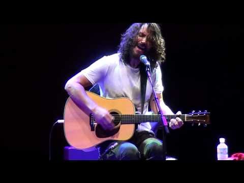Chris Cornell - Sunshower