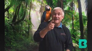 Herpetologist Dr. Brady Barr shows how to tell the difference between and alligator and a crocodile! | Baltimore County Public Library