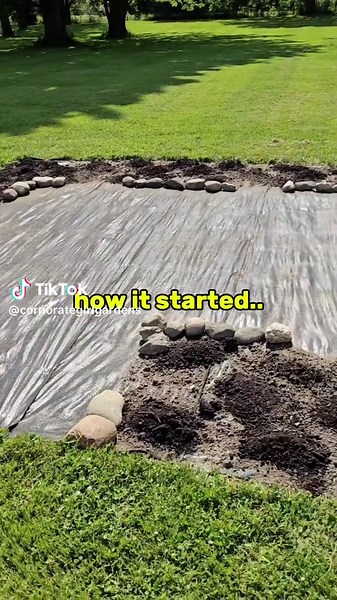 Sunflower Growth Timelapse: A 3-Month Journey