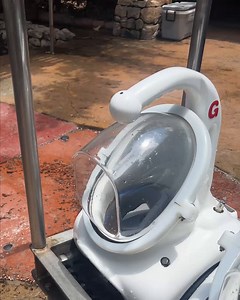 Today we are celebrating Reef Awareness Day! Did you know that when you book a SeaVenture tour, Discovery Cove donates 5% of the proceeds to Rising Tide Conservation? This is a non-profit dedicated to the protection of coral reefs. For a limited time save 30% on SeaVenture! Take a dive with us on your next visit! https://discoverycove.com/orlando/upgrades/seaventure/ | Discovery Cove