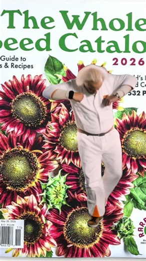 Getting my seed order in got me feeling like… #lifeisbutadream #seedyourhead #garden #gardening #🌻