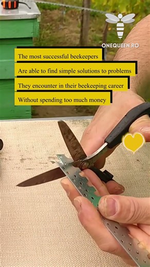 The most successful beekeepers are able to find simple solutions to problems they encounter