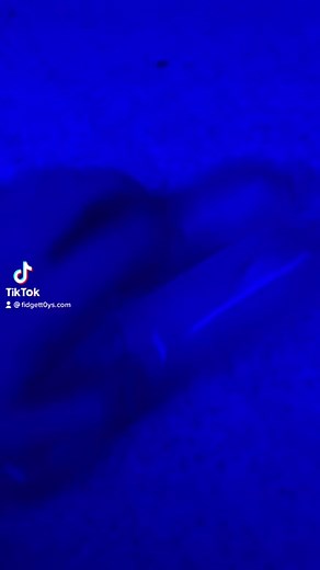 Ymca #fry #fidgettoys #trentz #fidget #baddie #like #pepsi #fidgettoy #YMCA #funny