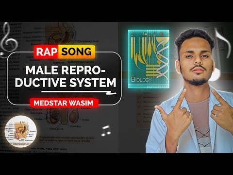 🔥 Learn Human Reproduction in 3 Min | Neet | CBSE