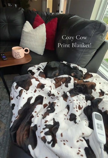Replying to @Christina I absolutely love this blanket! I got it last year in September and I have had it out since then! It washes really well! Definitely 10/10 recommend! #cowprintblanket #tiktokshopcreatorpicks