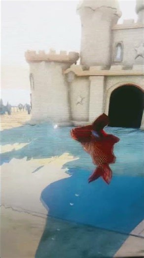 Not fun fact, fish like slapping people