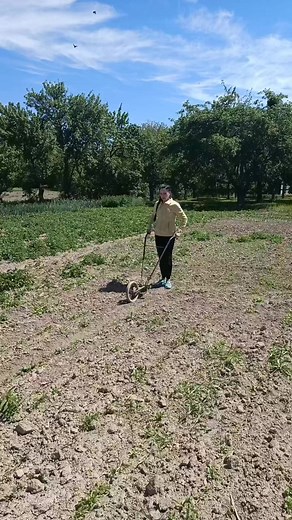 Рекомендовані акаунти