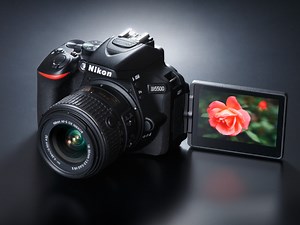 ニコンD5500（実写編）