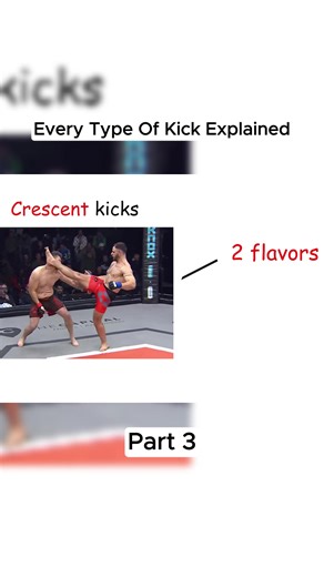 #explained #muaythai #taekwondo #ufc_mma_sport #karate
