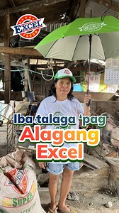 969 reactions · 29 shares | Talagang subok na ang kalidad ng Excel Feeds, at si Marilyn ay isa lamang sa maraming Ka-Excel na nakaranas ng maliiksi at bigating baboy dahil sa tamang pakain. Nais mo bang makakuha ng tips para sa mas malusog na alaga? Sali na sa Samahang Excel: fb.com/groups/samahangexcel/ #ExcellentSaBigat #ExcellentSaKita #ExcelFeedsPH | Excel Feeds | Facebook