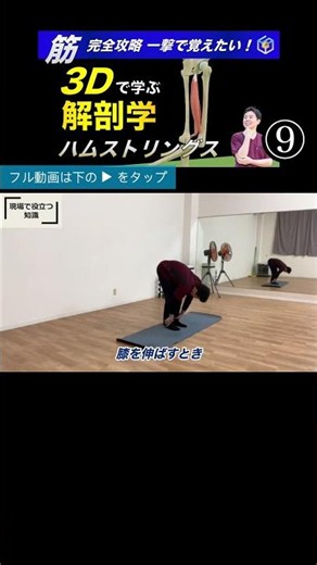 Jackknife Stretch Utilizing Neural Pathways: The Ultimate Guide to Mastering Hamstrings — Learn O...