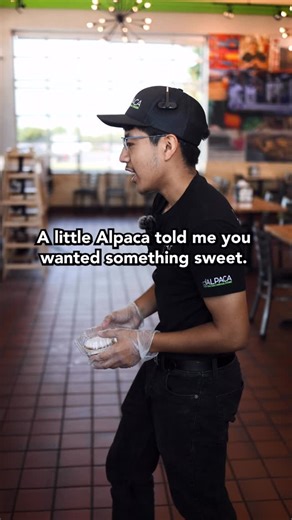 So much for keeping it hush-hush 😤😂 Our alpaca’s got a sweet tooth and a big mouth. #LittleAlpacaToldMe #SweetTalker | Alpaca Chicken