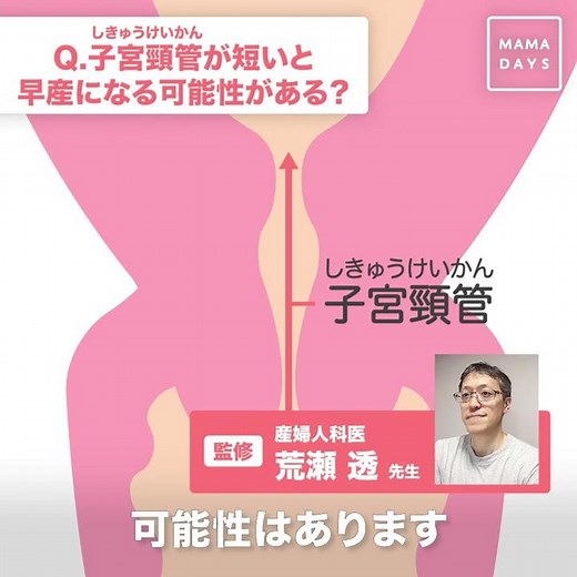 短いと早産に？ 子宮頸管（しきゅうけいかん）の長さ