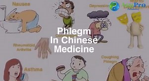 7.4K views · 343 reactions | Phlegm in TCM is a complicated matter...