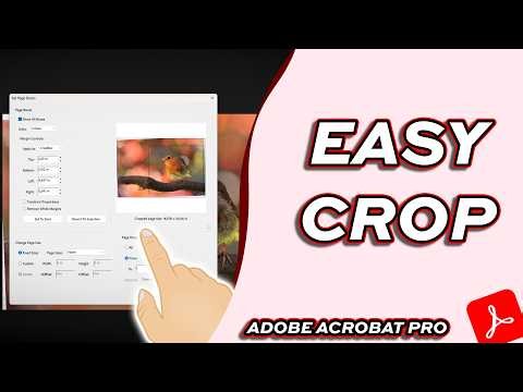 How to Crop a PDF in Adobe Acrobat (Fast & Easy!)