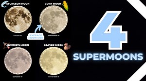 How big and bright will the full blue supermoon appear in the night sky? | Live Doppler 13 Weather Blog