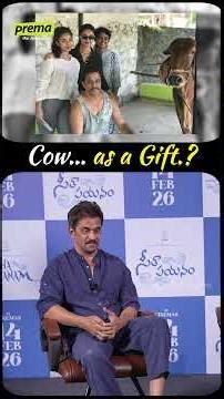 😍😍 A Cow... as a Gift.?