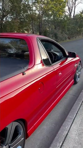 VY SS Holley EFI duel rise Manifold. VCM 13 cam.