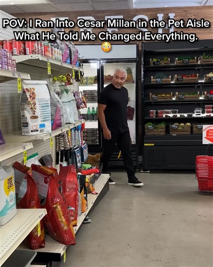 316 reactions · 18 shares | Legendary Dog Behaviorist, Cesar Millan, shares which foods you should AVOID feeding your pet at all costs. If your dog suffers from ⚫️ Weight Gain ⚫️ Loss of Energy ⚫️ Achy Joints ⚫️ Stinky, Mushy Poops ⚫️ Bad Breath ⚫️ Diminished Mental Ability Watch Cesar reveal the TOXIC FOODS to avoid and show how you can help extend your beloved pet’s health span. See for yourself!  https://rebrand.ly/MRTYCM | Cesar Millan | Facebook