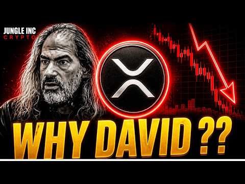 Ripple XRP WTH did David just say !! 🚨