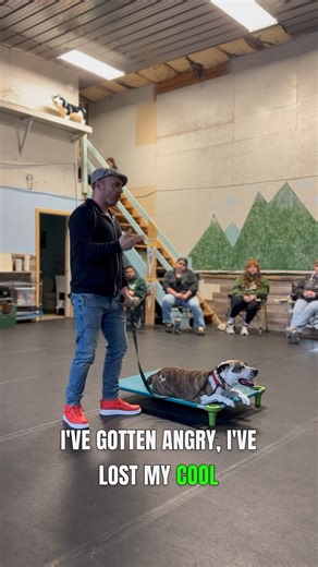 Losing the frustration, anger, and guilt with your dog… Which owners do I see over and over who are guilt ridden due to how they’ve responded to their dog’s behavior? The owners who’ve been in over their heads, overwhelmed, and ill-equipped. It’s simple. When you don’t have the right tools and training, frustration and anger are the natural byproducts. In this clip I’m talking with a seminar attendee who has a pretty firm and willful dog, and although she’s been using an e-collar and had profess