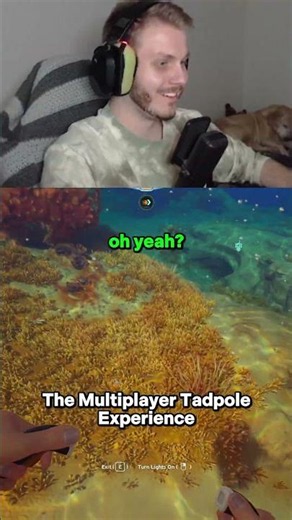 Average Subnautica 2 Multiplayer Experience