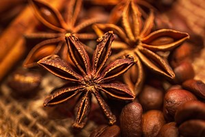 Star Anise: The Ancient Spice That Helps Relieve Joint Pain and Strengthen Bones