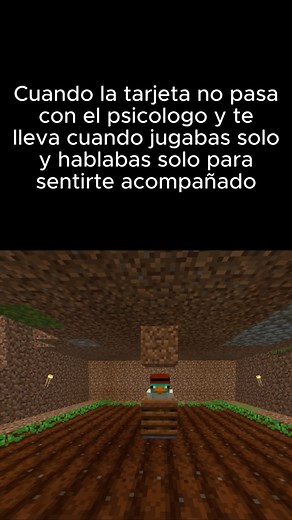:C #gaaaaaaa🇵🇪🇵🇪🇵🇪 #minecraft #solo #parati