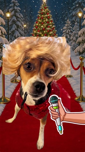 ✨ New Year’s Eve reminder: sometimes the wish isn’t the point… 🌲🐾 New Year’s Eve always comes with big hopes, quiet pressure, and that feeling that everything should be perfectly wrapped before midnight. While filming The Wish Tree, Olive learned something we all need tonight: when plans shift and timelines slip, choosing kindness still moves us forward. In the story, Charles keeps stopping to help others—even when it delays his own wish. And somehow, that generosity circles back, carrying him