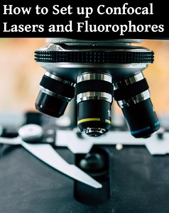 How to Set up Confocal Lasers and Fluorophores Based on Fluorescence Spectra - 3DBiology.com