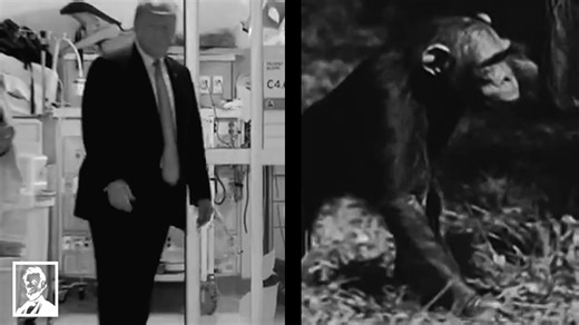 110K views · 4.8K reactions | The Lincoln Project would like to formally invite Donald Trump to take a cognitive test that isn’t for children under 5. Prove us, and all of America, wrong Donald. | The Lincoln Project | Facebook