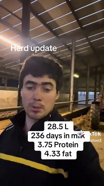 Dairy Farm Herd Update: Holstein Cow Milk Production