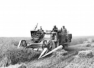 22K views · 318 reactions | 1956: CLAAS presenta la HUCKEPACK, mietitrebbia semovente che lavora con il processo di flusso longitudinale con una larghezza di lavoro di 2.10 metri. La sua particolarità era costituita dalla possibilità di trasformare l'HUCKEPACK in un portattrezzi per sfruttare la macchina anche al di fuori della raccolta. #claas #claasfamily #claashistory | CLAAS | Facebook